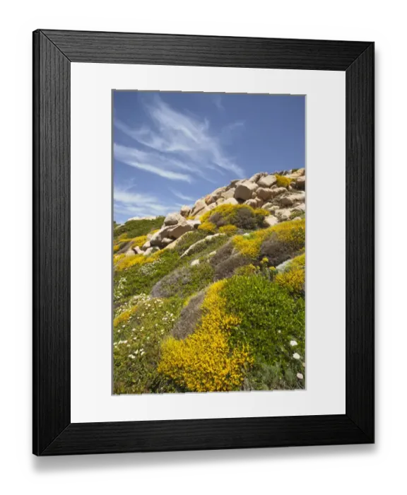 Framed Print : ITALY, Sardinia, Santa Teresa Gallura. Capo Testa landscape Framed Print : ITALY, Sardinia, Santa Teresa Gallura. Capo Testa landscape