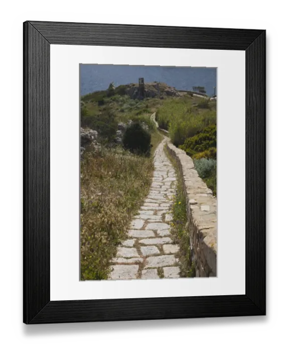 Framed Print : ITALY, Sardinia, Santa Teresa Gallura. Torre di Longonsardo tower pathway Framed Print : ITALY, Sardinia, Santa Teresa Gallura. Torre di Longonsardo tower pathway