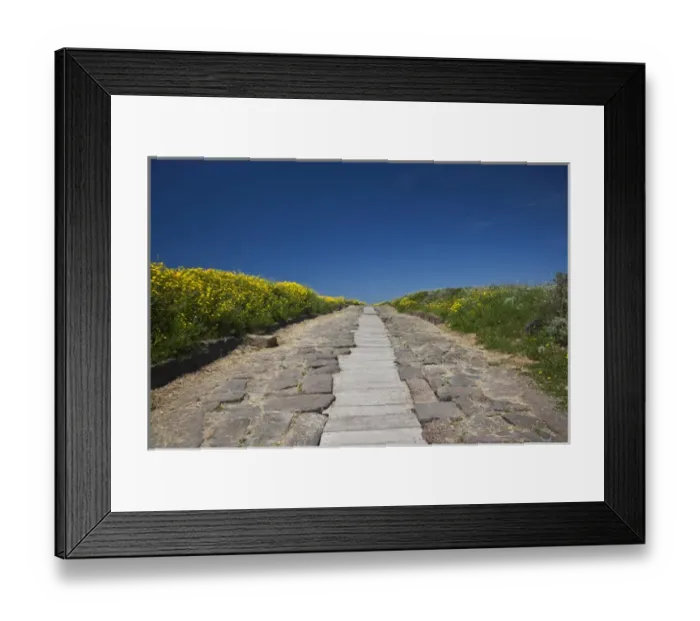 Framed Print : ITALY, Sardinia, Tharros. Ruins of ancient Phoenician city, Cardus Maximus road Framed Print : ITALY, Sardinia, Tharros. Ruins of ancient Phoenician city, Cardus Maximus road
