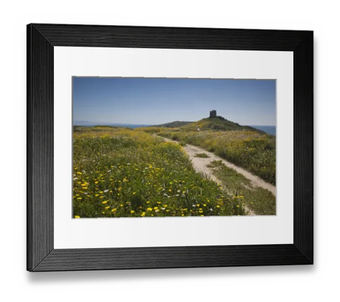 Framed Print : ITALY, Sardinia, Tharros. Spanish tower near ancient Phoenician ruins