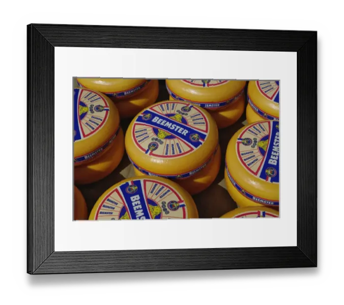 Framed Print : Cheese at the Alkmaar Cheese Market, Alkmaa, Netherlands, Holland