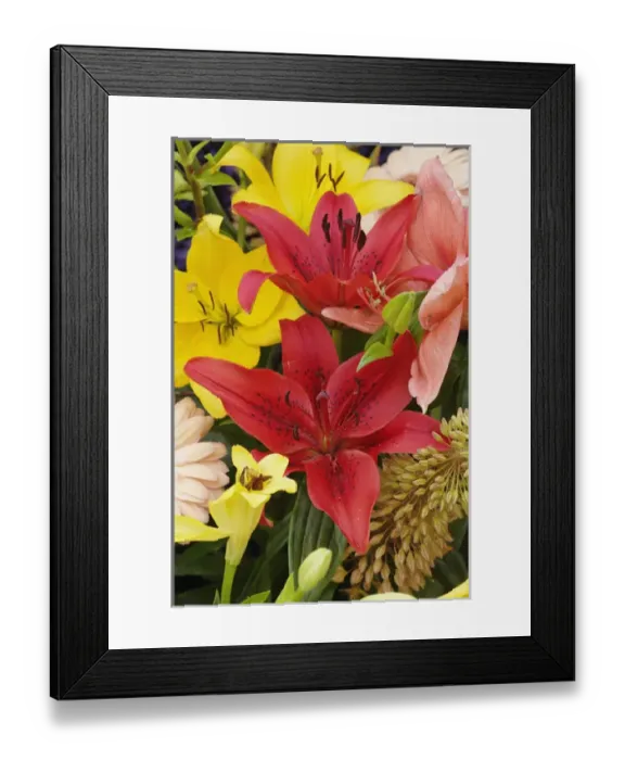 Framed Print : Flowers on float celebrating Queens Day, a celebration of the Queen Mother, Princess Juliana