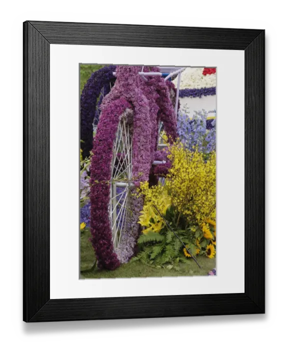 Framed Print : Flowers on float celebrating Queens Day, a celebration of the Queen Mother, Princess Juliana Framed Print : Flowers on float celebrating Queens Day, a celebration of the Queen Mother, Princess Juliana