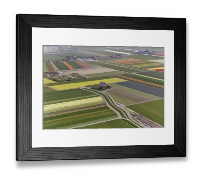 Framed Print : Aerial view of flower field patterns surrounding Amsterdam, Holland