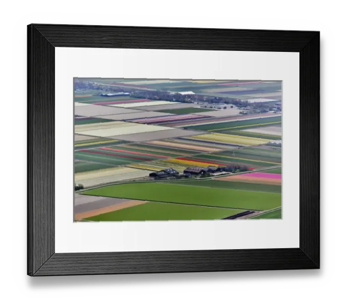 Framed Print : Aerial view of flower field patterns surrounding Amsterdam, Holland Framed Print : Aerial view of flower field patterns surrounding Amsterdam, Holland