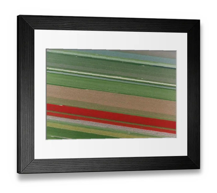 Framed Print : Aerial view of flower field patterns surrounding Amsterdam, Holland Framed Print : Aerial view of flower field patterns surrounding Amsterdam, Holland