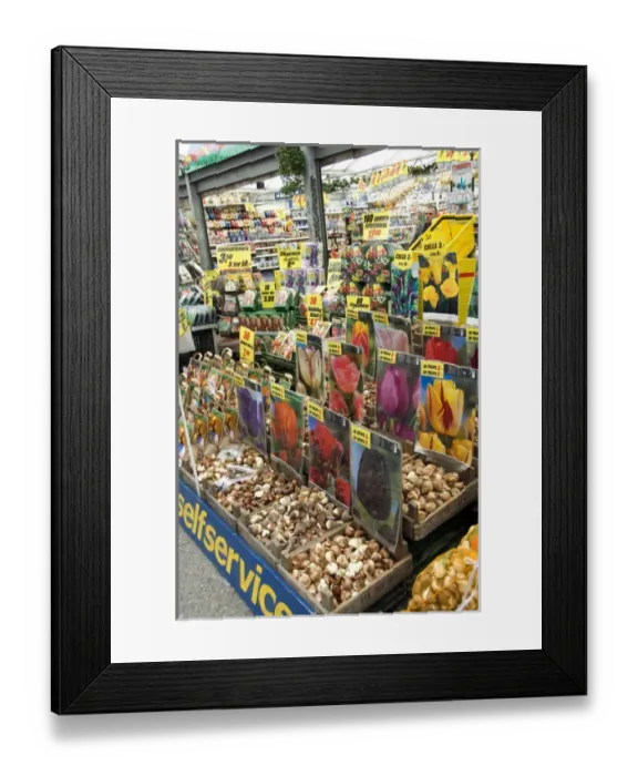 Framed Print : Europe, The Netherlands (aka Holland), Amsterdam. Bloemenmark (aka floating flower market) Framed Print : Europe, The Netherlands (aka Holland), Amsterdam. Bloemenmark (aka floating flower market)