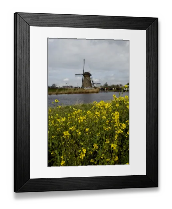 Framed Print : Netherlands (aka Holland), Kinderdijk. 19 historic windmills situated at the convergence Framed Print : Netherlands (aka Holland), Kinderdijk. 19 historic windmills situated at the convergence