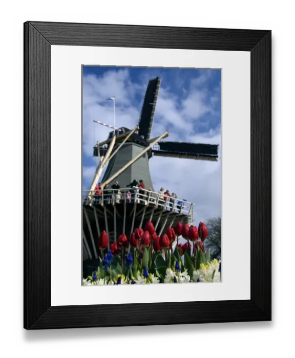 Framed Print : Netherlands (aka Holland), Lisse. Keukenhof Gardens, the worlds largest bulb Framed Print : Netherlands (aka Holland), Lisse. Keukenhof Gardens, the worlds largest bulb