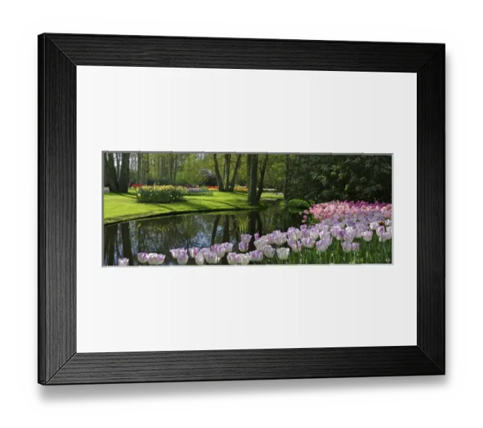 Framed Print : Europe, Netherlands, Holland, Lisse, Keukenhof Gardens in spring