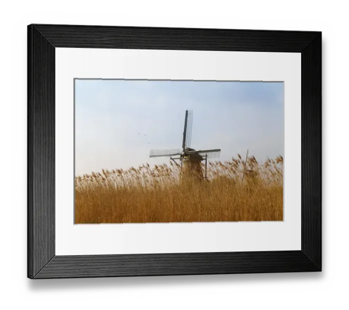 Framed Print : Windmills along the canal in Kinderdijk, Netherlands
