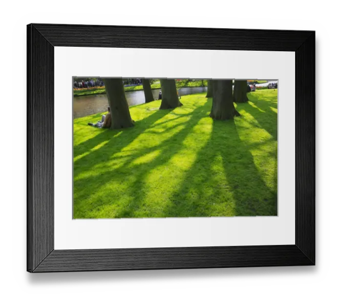 Framed Print : Lawn in Keukenhof Gardens, Amsterdam, Netherlands Framed Print : Lawn in Keukenhof Gardens, Amsterdam, Netherlands