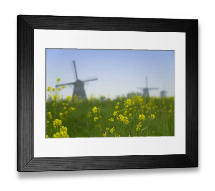 Framed Print : Windmills in the water along the canal in Kinderdijk, Netherlands