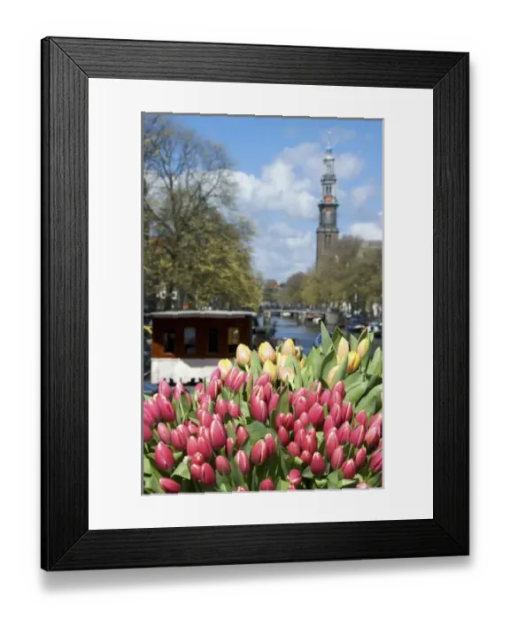 Framed Print : Europe, Netherlands, South Holland, Amsterdam Framed Print : Europe, Netherlands, South Holland, Amsterdam