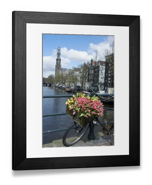 Framed Print : Europe, Netherlands, South Holland, Amsterdam Framed Print : Europe, Netherlands, South Holland, Amsterdam