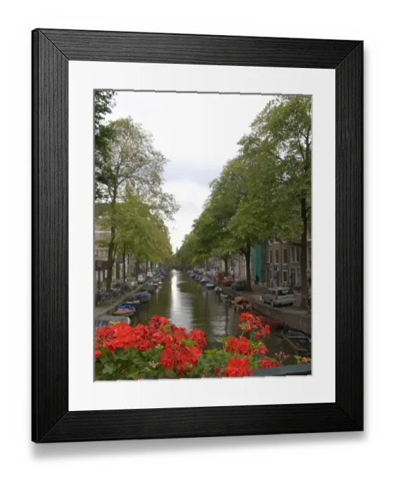 Framed Print : Red flowers top a bridge crossing a boat lined canal Framed Print : Red flowers top a bridge crossing a boat lined canal