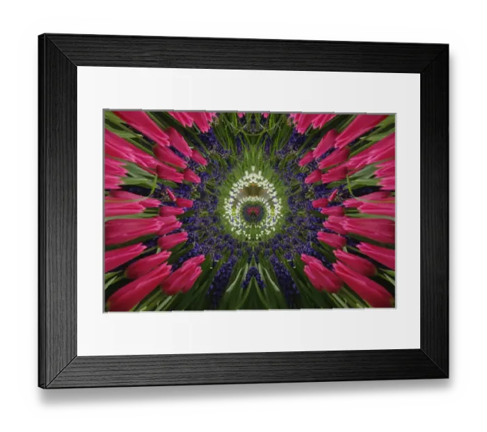 Framed Print : Tulip and hyacinth garden, Keukenhof Gardens, Lisse, Netherlands, Holland Framed Print : Tulip and hyacinth garden, Keukenhof Gardens, Lisse, Netherlands, Holland