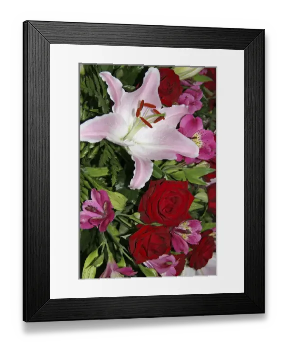 Framed Print : Full frame of flower arrangement including red roses and a Rubrum Lily Framed Print : Full frame of flower arrangement including red roses and a Rubrum Lily