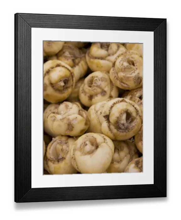 Framed Print : Full frame of flower bulbs at the Bloemenmarket Framed Print : Full frame of flower bulbs at the Bloemenmarket