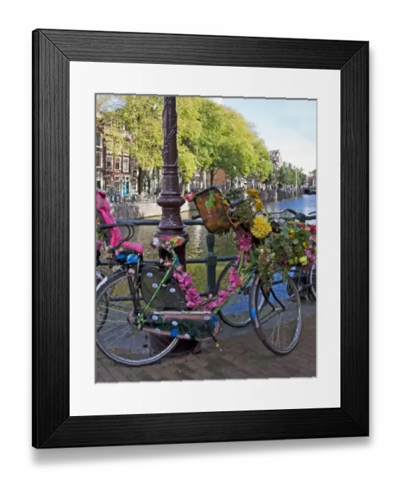Framed Print : Colorful decorated bicycle with pink flowers and a pink passenger seat parked