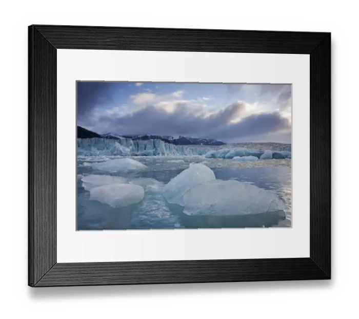 Framed Print : Norway, Svalbard, Spitsbergen Island, Deep blue icebergs floating near face of Sveabreen Framed Print : Norway, Svalbard, Spitsbergen Island, Deep blue icebergs floating near face of Sveabreen
