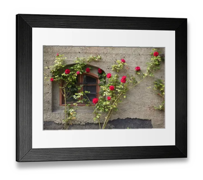 Framed Print : 05. Oslo, Norway Framed Print : 05. Oslo, Norway
