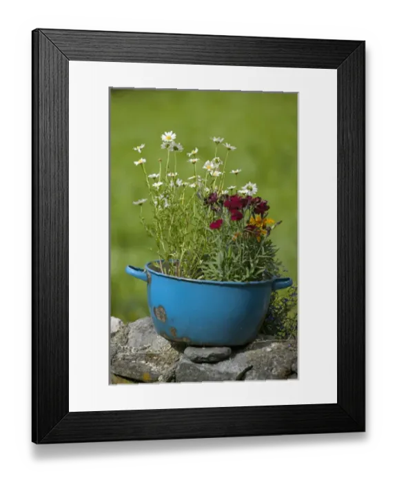 Framed Print : Flower pots along, Sogne Fjord Southern Fjord, Norway Framed Print : Flower pots along, Sogne Fjord Southern Fjord, Norway