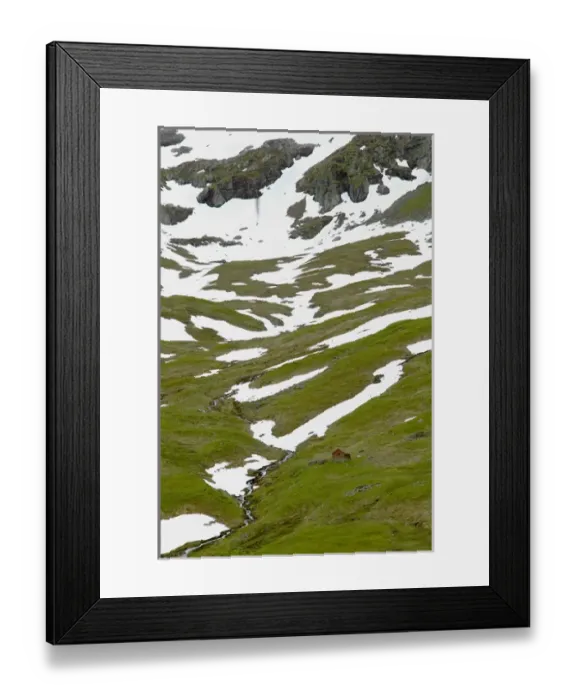 Framed Print : Remote Mountain cabin between the Vic and Gudvagen enroute to, Sogne Fjord Southern Fjord Framed Print : Remote Mountain cabin between the Vic and Gudvagen enroute to, Sogne Fjord Southern Fjord