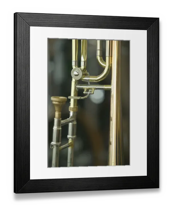 Framed Print : trombone Framed Print : trombone