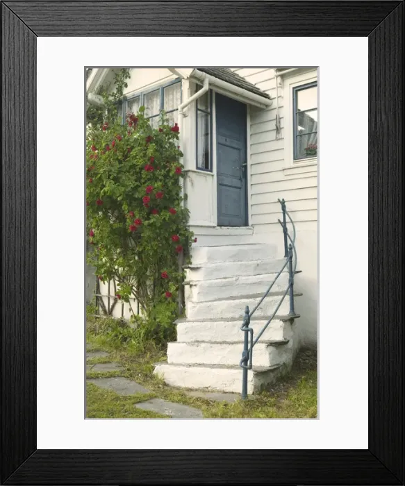 Framed Print : roses adorn a home in Ulvik on the shores of Hardanger Fjord, Norway Framed Print : roses adorn a home in Ulvik on the shores of Hardanger Fjord, Norway