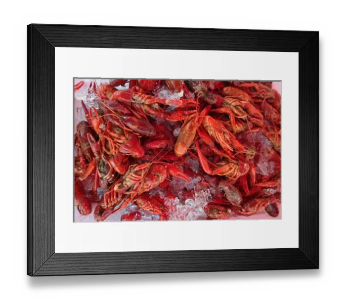 Framed Print : Crayfish Bergens Fish Market