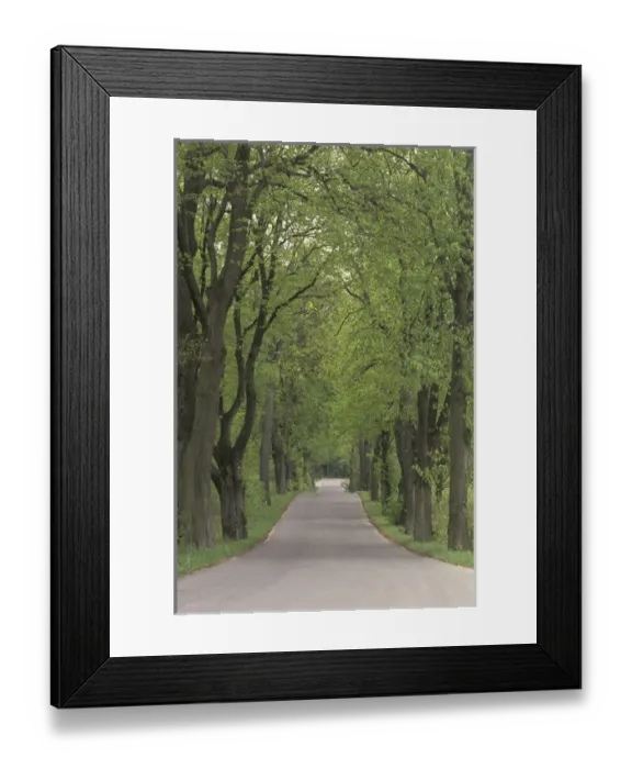 Framed Print : Europe, Poland, Warmia and Masuria Country road by Elblag, springtime