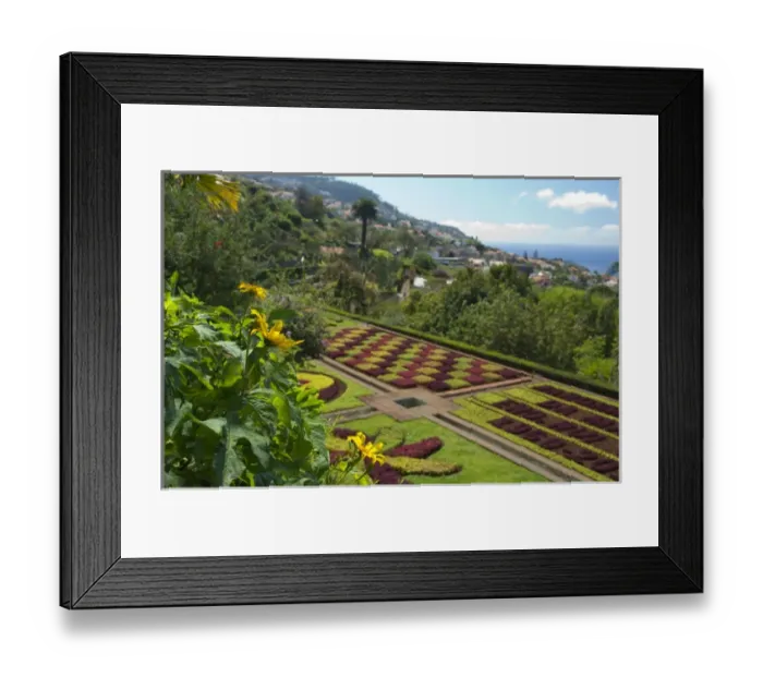 Framed Print : Portugal, Madeira Island, Funchal. Botanical Gardens (aka Jardim Botanico), founded in 1960