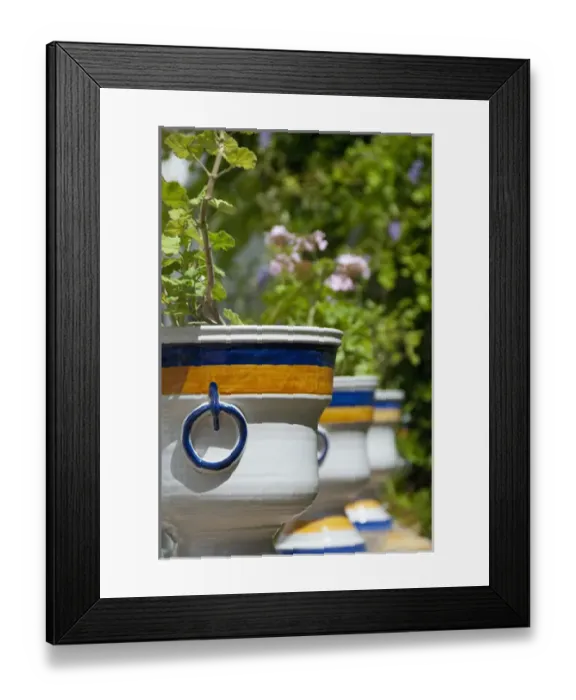 Framed Print : Spain, Seville. Alcazar (aka Reales Alcazares). Palace gardens, ceramic flower pot Framed Print : Spain, Seville. Alcazar (aka Reales Alcazares). Palace gardens, ceramic flower pot