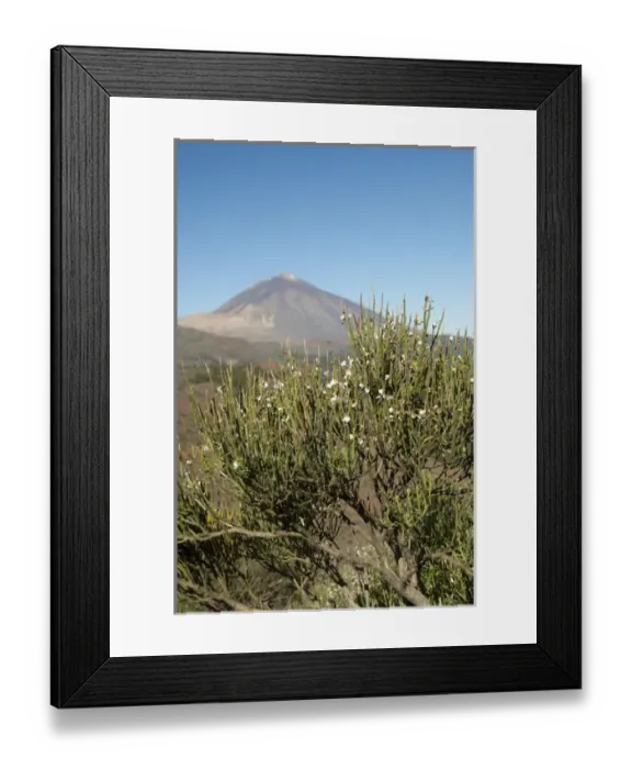 Framed Print : Spain, Canary Islands, Tenerife. Las Canadas National Park. Mt. Teide, 12, 300 ft