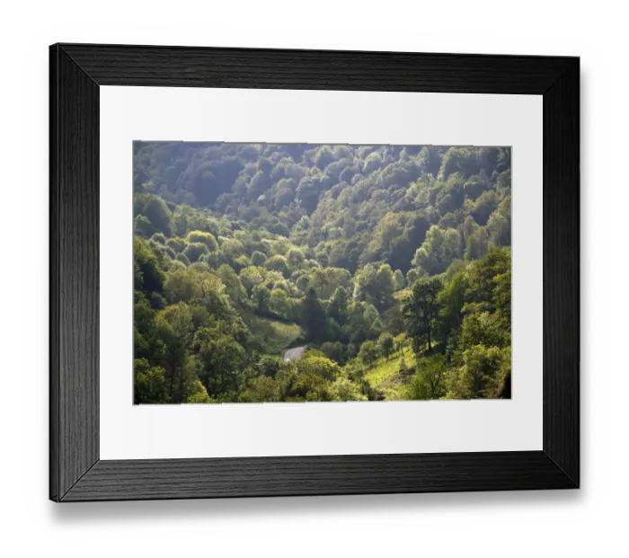 Framed Print : Forested Picos de Europa mountains at Covadonga, Asturias, northwestern Spain Framed Print : Forested Picos de Europa mountains at Covadonga, Asturias, northwestern Spain