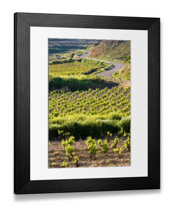 Framed Print : Vineyards along the San Vicente to Banos de Ebro Road in the La Rioja Region of Spain Framed Print : Vineyards along the San Vicente to Banos de Ebro Road in the La Rioja Region of Spain