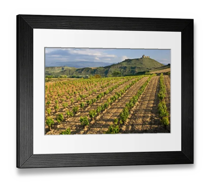 Framed Print : Vineyards along the San Vicente to Banos de Ebro Road in the La Rioja Region of Spain Framed Print : Vineyards along the San Vicente to Banos de Ebro Road in the La Rioja Region of Spain