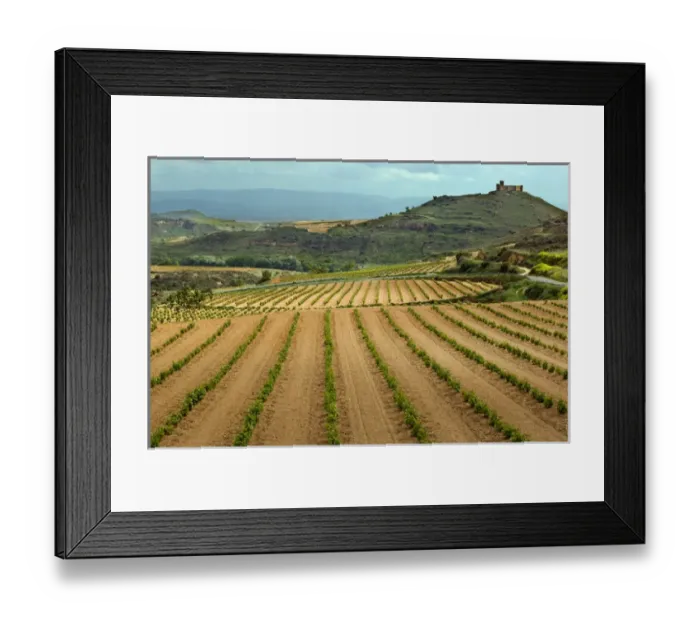 Framed Print : Castle overlooks vineyards along the San Vicente to Banos de Ebro Road in the La Framed Print : Castle overlooks vineyards along the San Vicente to Banos de Ebro Road in the La