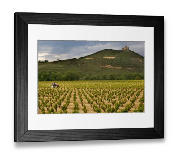 Framed Print : Castle towers over tractor working vineyards along the San Vicente to Banos de Ebro