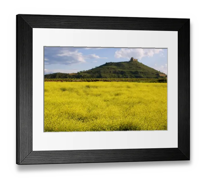 Framed Print : Vineyards along the San Vicente to Banos de Ebro Road in the La Rioja Region of Spain Framed Print : Vineyards along the San Vicente to Banos de Ebro Road in the La Rioja Region of Spain