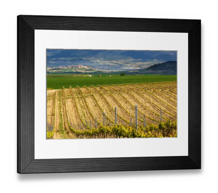 Framed Print : Spring time vineyards roll to the distant village of Briones and mountains in Framed Print : Spring time vineyards roll to the distant village of Briones and mountains in