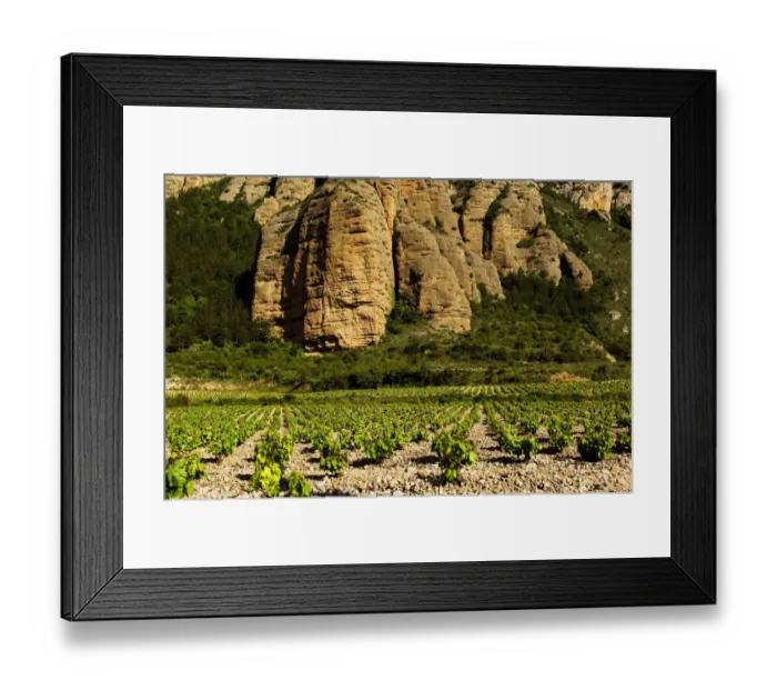 Framed Print : Tall rock columns of Camero Viejo mountains tower over a rocky vineyard near Islallana Framed Print : Tall rock columns of Camero Viejo mountains tower over a rocky vineyard near Islallana
