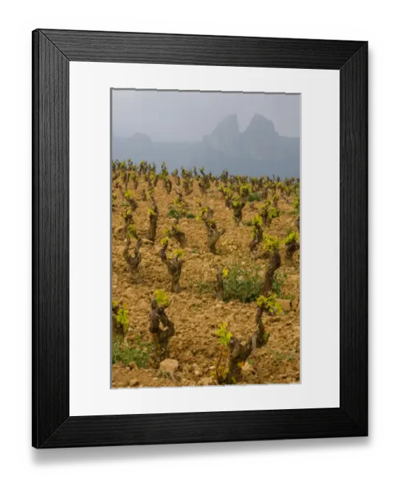 Framed Print : Storm clouds over the Penas Jembrez mountains with a vineyard in the foreground in