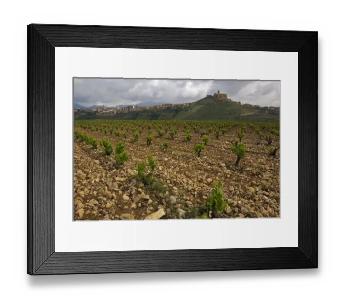 Framed Print : Vineyard in stony soil with San Vicente de la Sonsierra village on hill in the distance Framed Print : Vineyard in stony soil with San Vicente de la Sonsierra village on hill in the distance