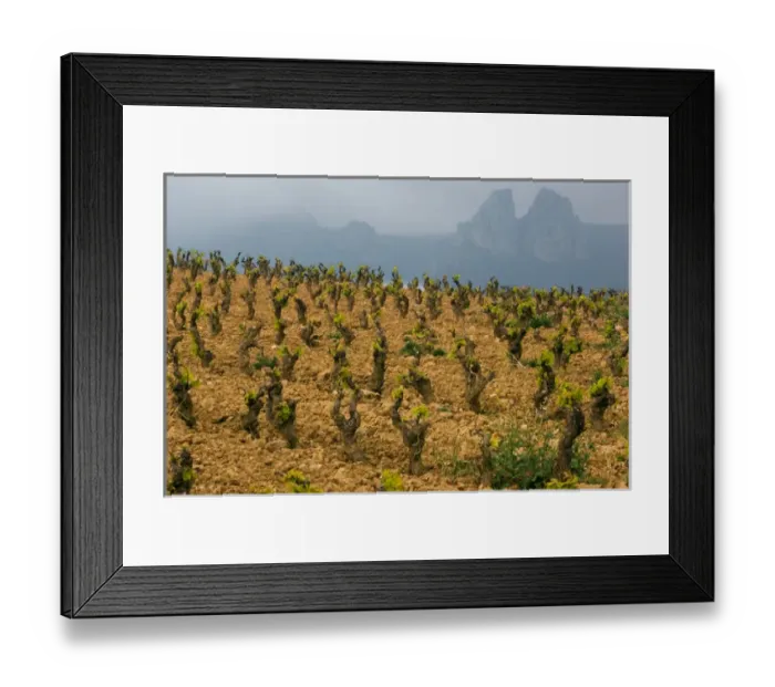 Framed Print : Storm clouds over the Penas Jembrez mountains with a vineyard in the foreground in Framed Print : Storm clouds over the Penas Jembrez mountains with a vineyard in the foreground in