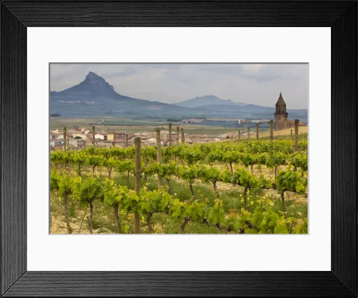 Framed Print : Rows of grape vines in the foreground frame the traditional village of Elvillar with Framed Print : Rows of grape vines in the foreground frame the traditional village of Elvillar with