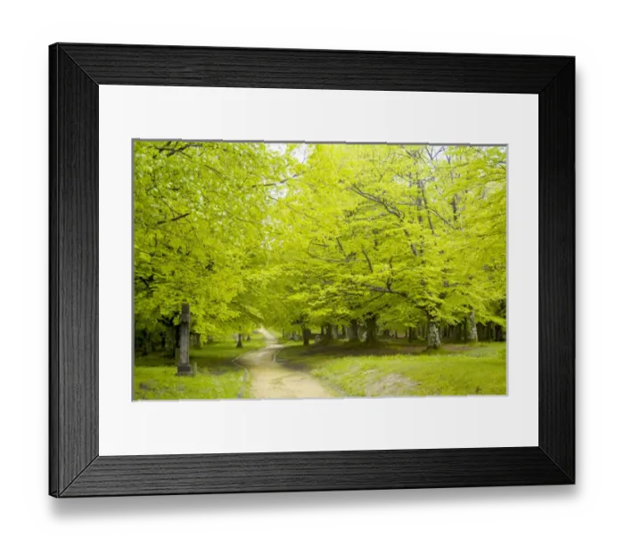 Framed Print : Urkiola Natural Park. Beech forest. Biscay province. Basque Country. Spain Framed Print : Urkiola Natural Park. Beech forest. Biscay province. Basque Country. Spain