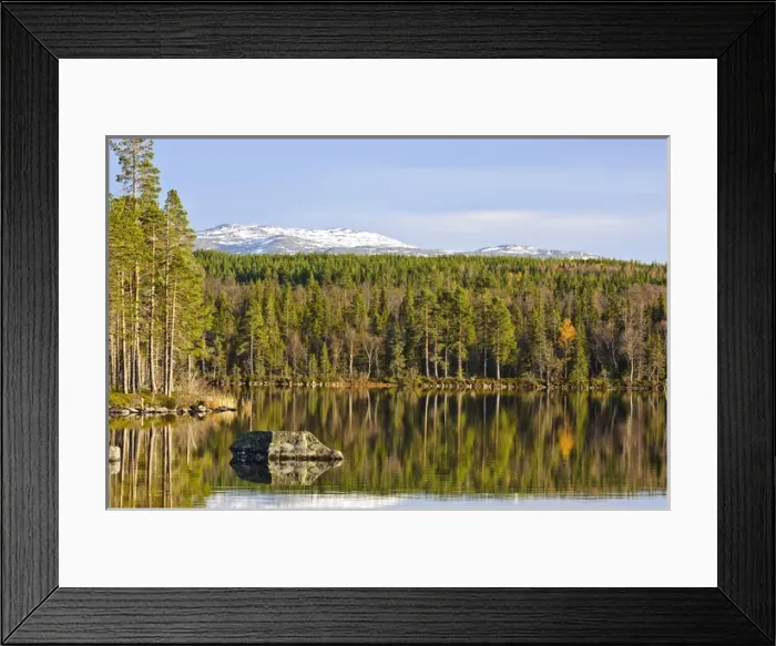 Framed Print : Sweden, Jamtland, Djupsjon. View of Djupsjon (Deep Lake) and surrounding Boreal forest Framed Print : Sweden, Jamtland, Djupsjon. View of Djupsjon (Deep Lake) and surrounding Boreal forest