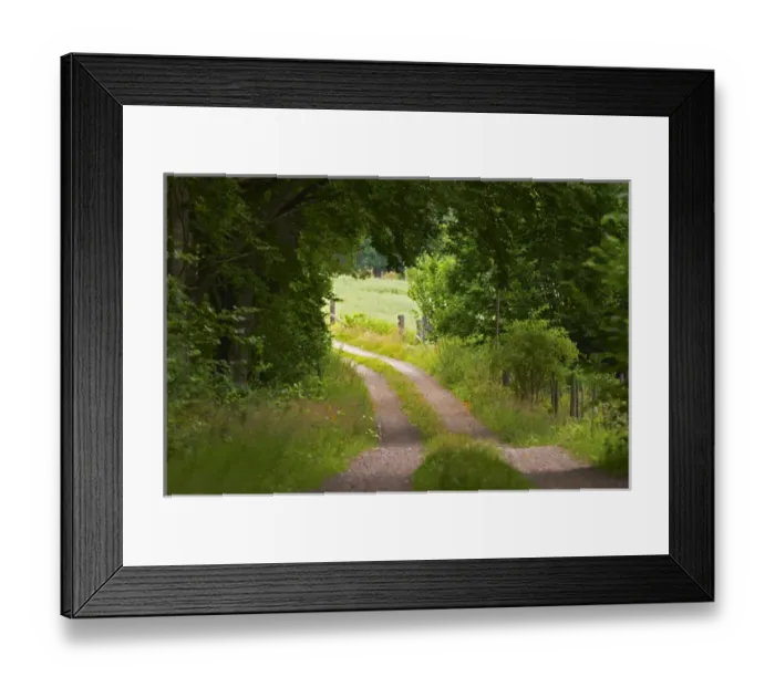 Framed Print : Country road. Through the forest. Smaland region. Sweden, Europe Framed Print : Country road. Through the forest. Smaland region. Sweden, Europe